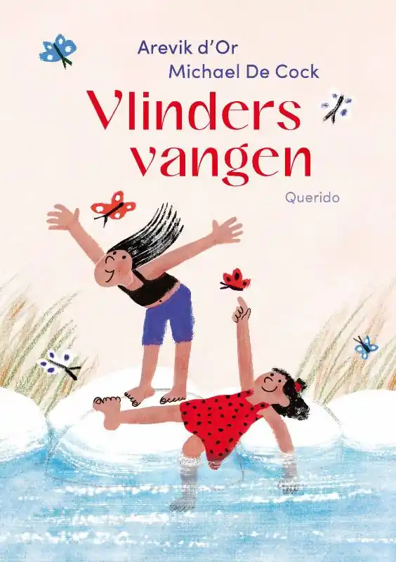 Finale Uitverkoop Vlinders vangen