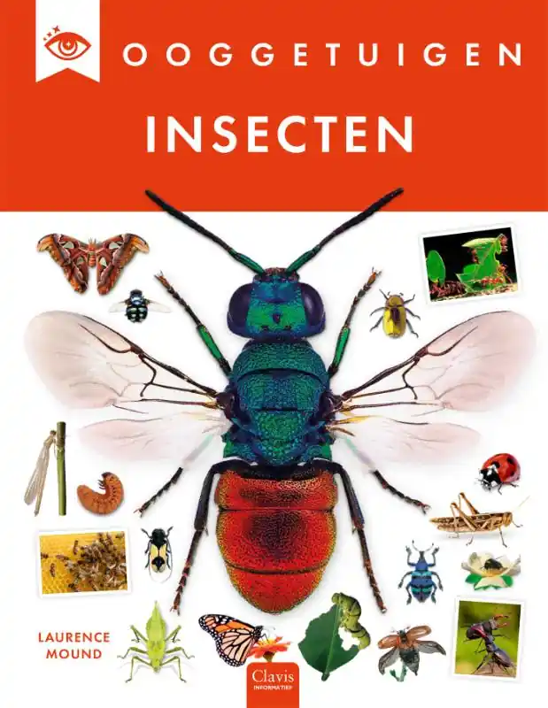 Insecten Flitsaanbieding