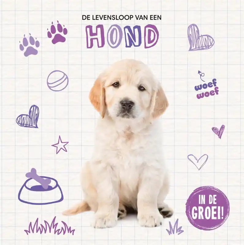 Speciale Aanbieding Hond