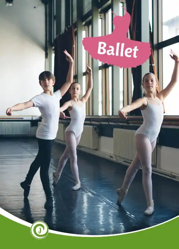 Ballet Rechtstreeks Van De Fabrikant
