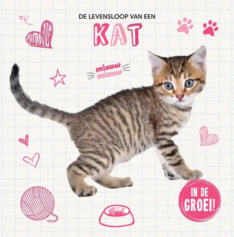 Seizoensaanbieding Kat