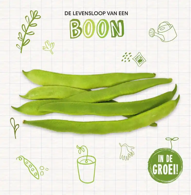 Finale Uitverkoop Boon