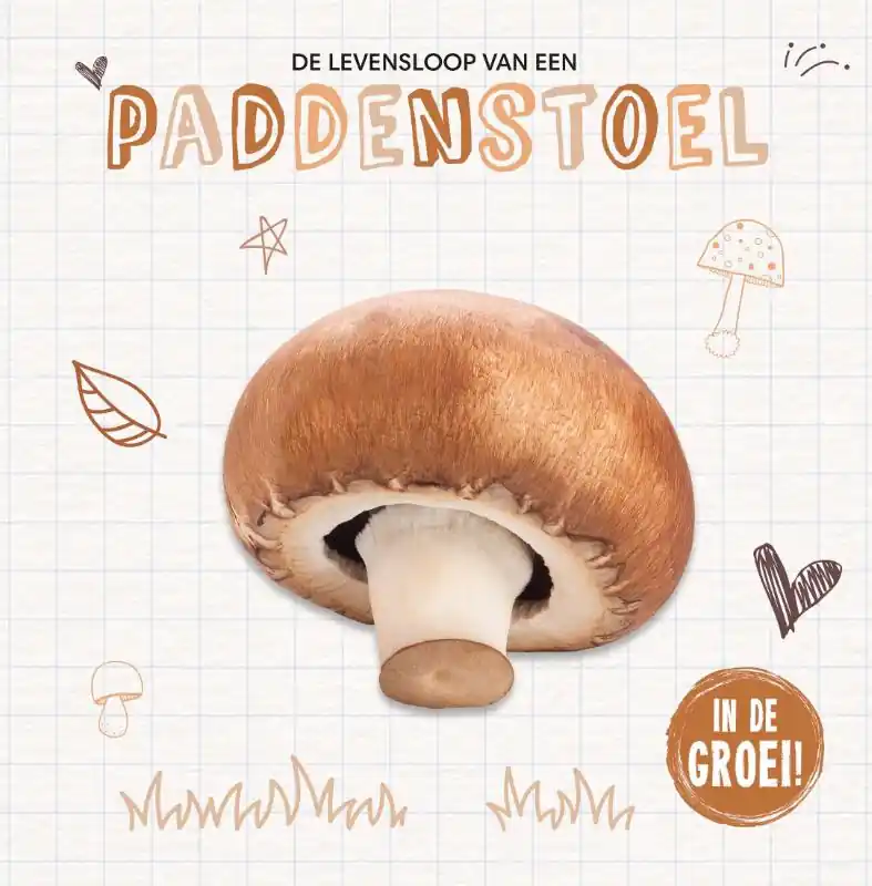 Rechtstreeks Van De Fabrikant Paddenstoel