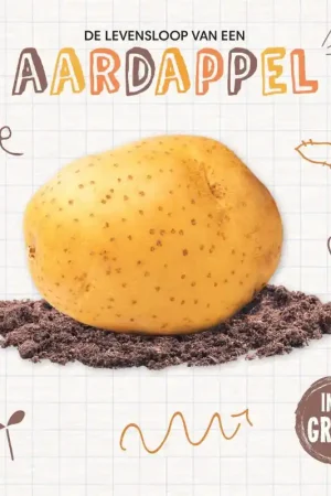 Aardappel Premium