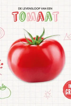 Weekendaanbieding Tomaat