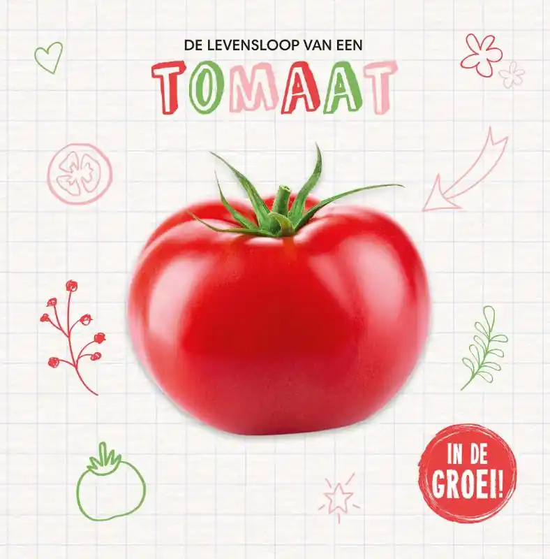 Weekendaanbieding Tomaat