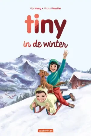 Goedkoop Tiny in de winter – 2025