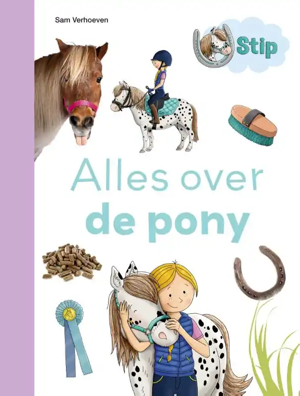 Alles over de pony Hoge Kwaliteit