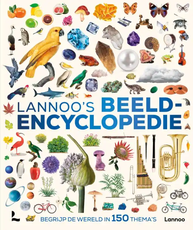 Lannoo's beeldencyclopedie Goedkoop