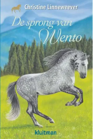 De sprong van Wento Actieprijs