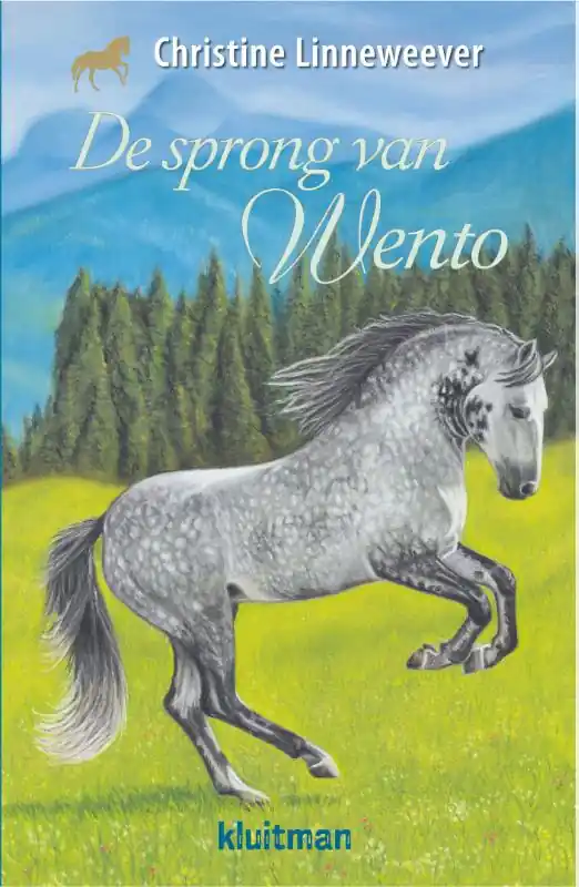 De sprong van Wento Actieprijs