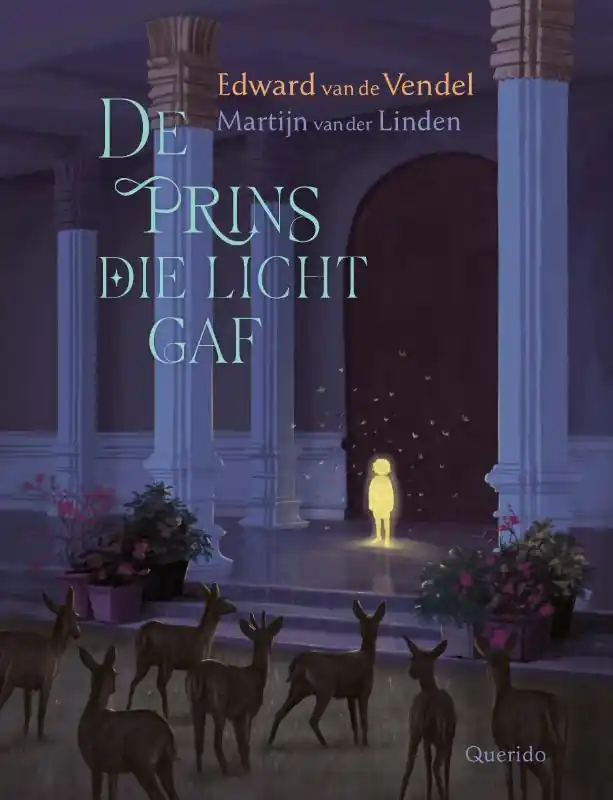 De prins die licht gaf Dagaanbieding