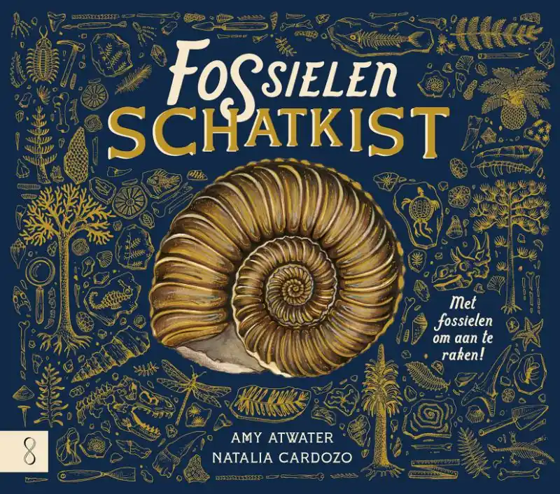 De fossielenschatkist Beste Prijs