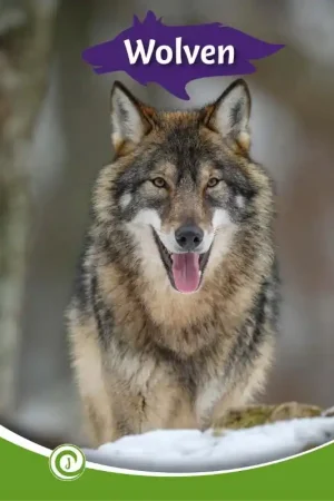 Wolven Gereduceerde Prijs