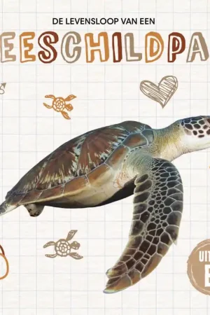 Aanbieding De levensloop van een zeeschildpad