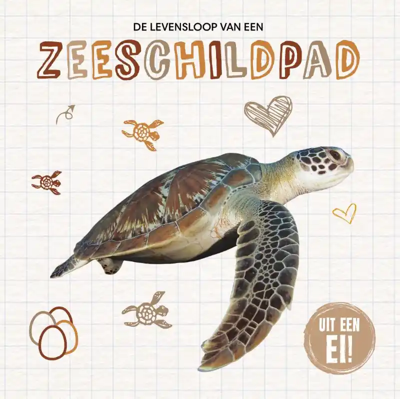 Aanbieding De levensloop van een zeeschildpad