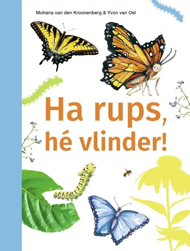 Ha rups, hé vlinder! Superprijs