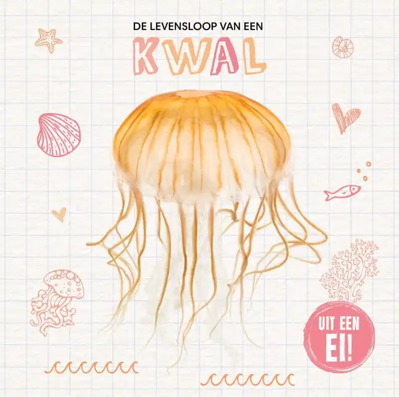 De levensloop van een kwal Op = Op