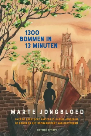1300 bommen in 13 minuten Aanbieding