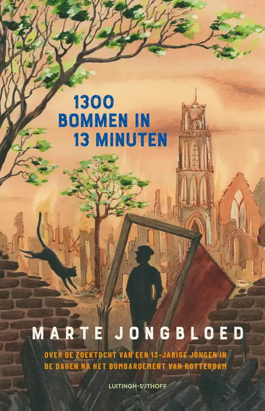 1300 bommen in 13 minuten Aanbieding