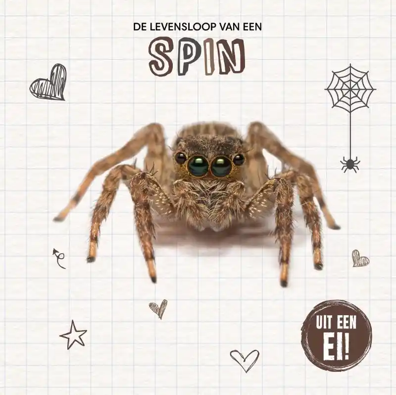 De levensloop van een spin Gereduceerde Prijs