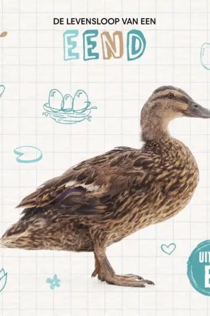 De levensloop van een eend Voordeelprijs