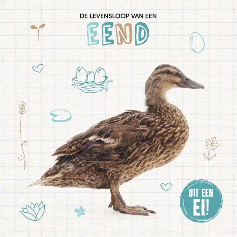 De levensloop van een eend Voordeelprijs