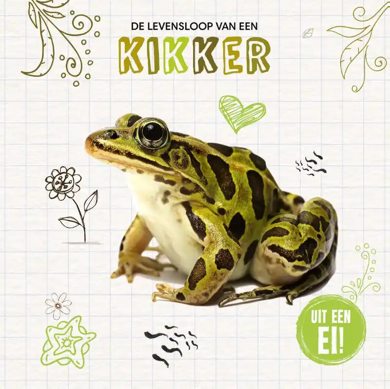 De levensloop van een kikker Veilige Betaling