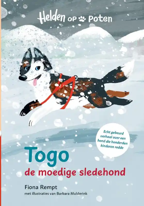 Togo, de moedige sledehond Tijdelijk Beschikbaar