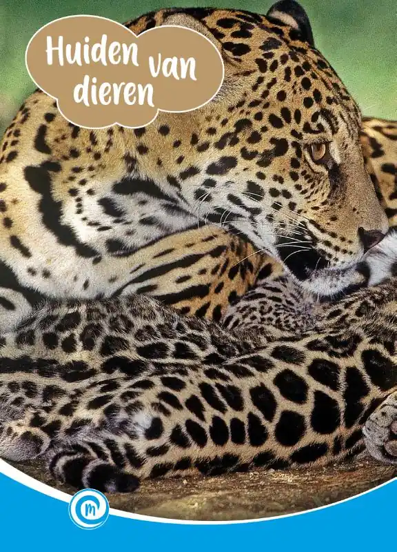 Huiden van dieren Gecertificeerd