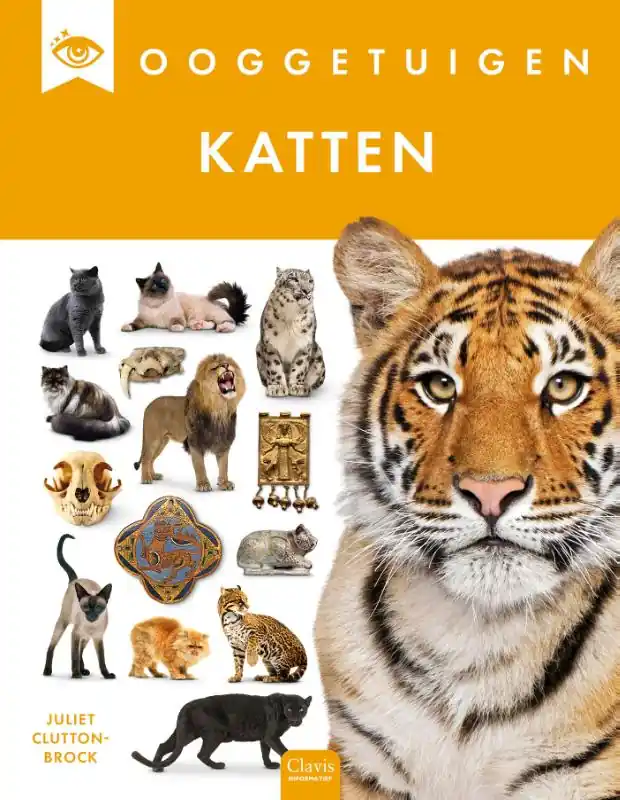 Lage Prijs Katten