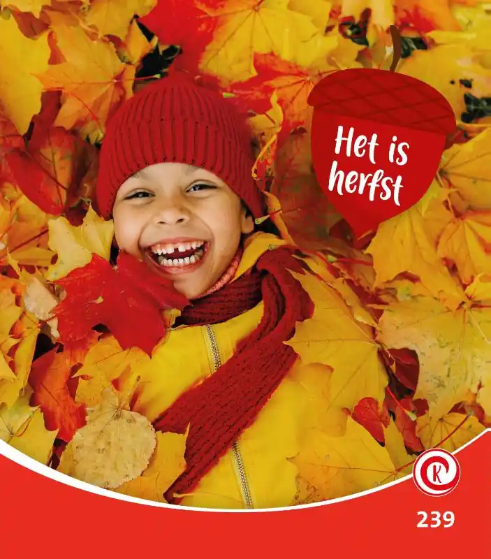 Het is herfst Koop Vandaag