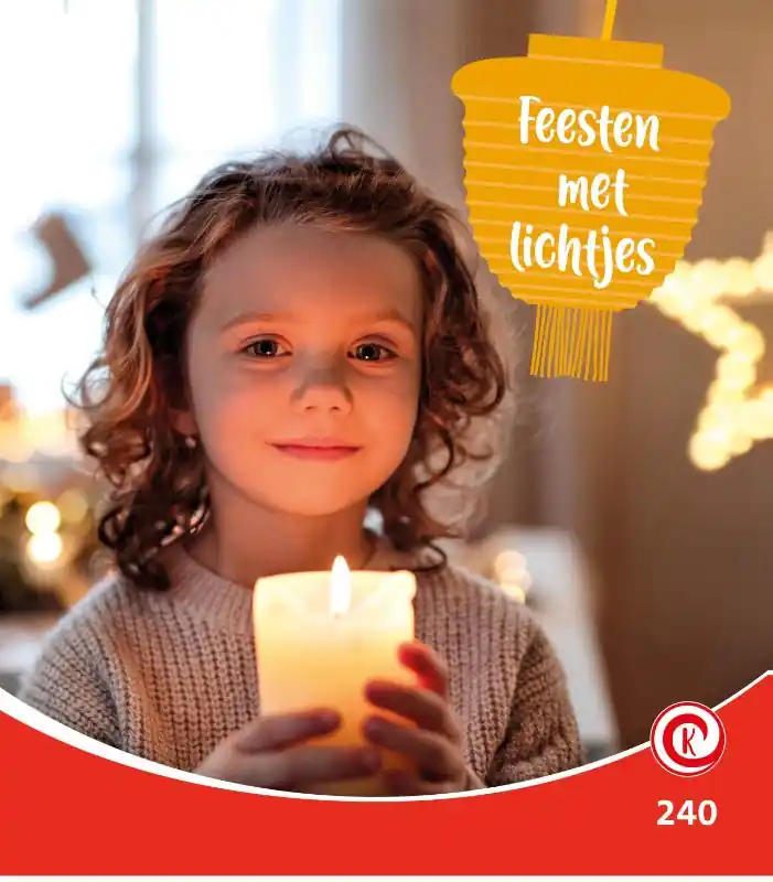 Snelle Levering Feest met lichtjes