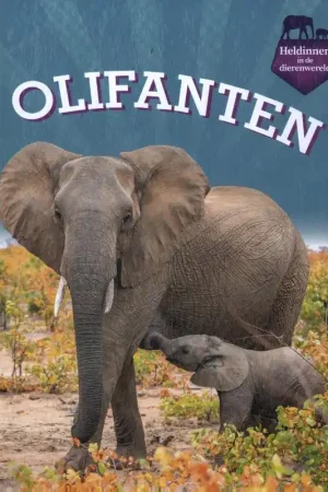 Beperkt Aanbod Olifanten
