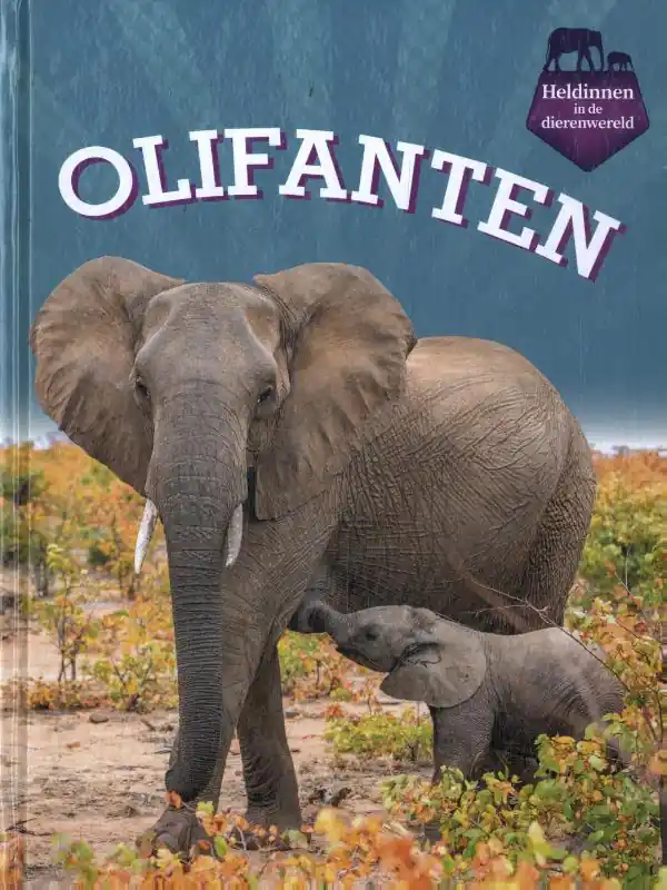 Beperkt Aanbod Olifanten