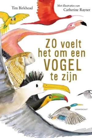 Zo voelt het om een vogel te zijn Gratis Retour
