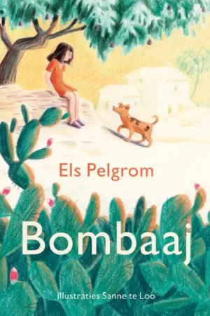 Bombaaj Veilige Betaling