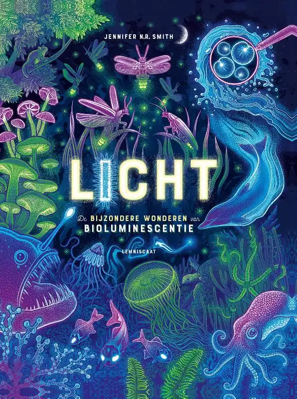 Gecertificeerd Licht