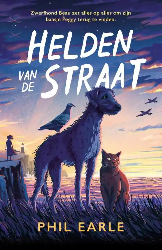 Helden van de straat Rechtstreeks Van De Fabrikant