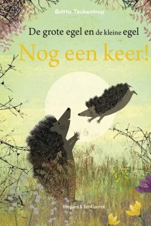 Nog een keer Betaalbaar