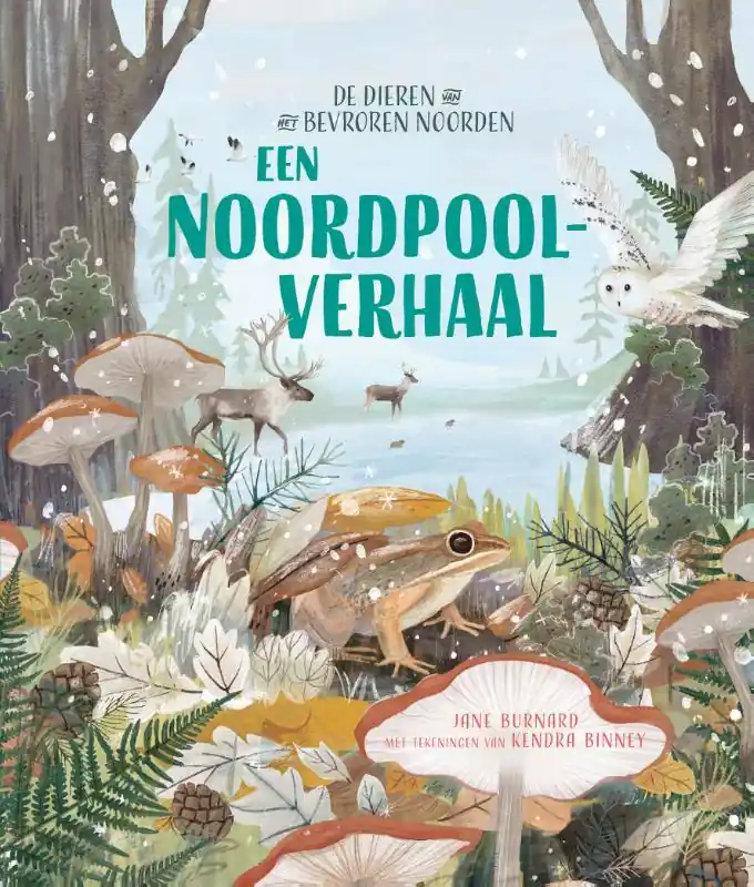 Een Noordpoolverhaal Koopje