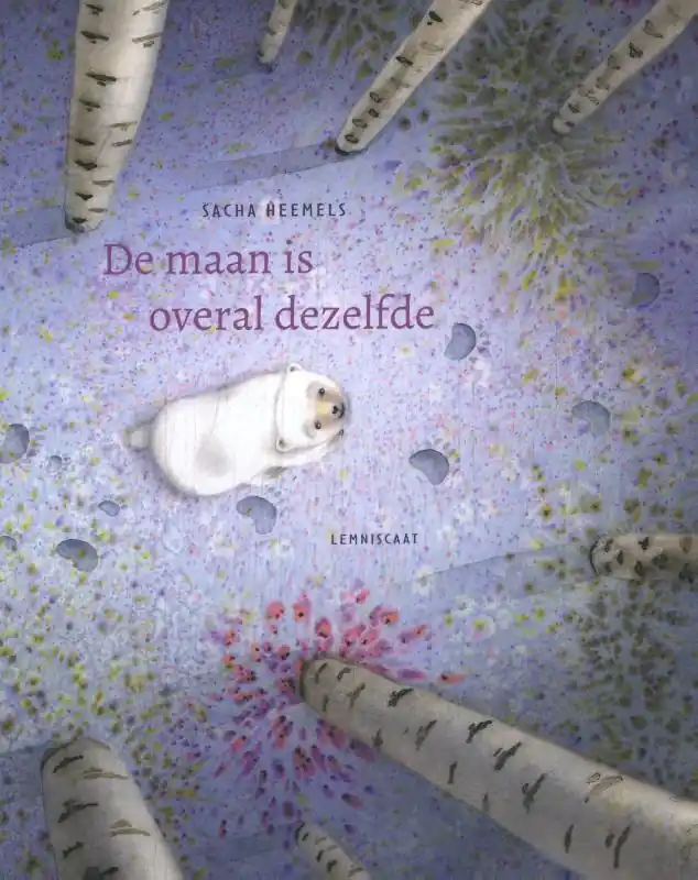 De maan is overal dezelfde Lage Kosten