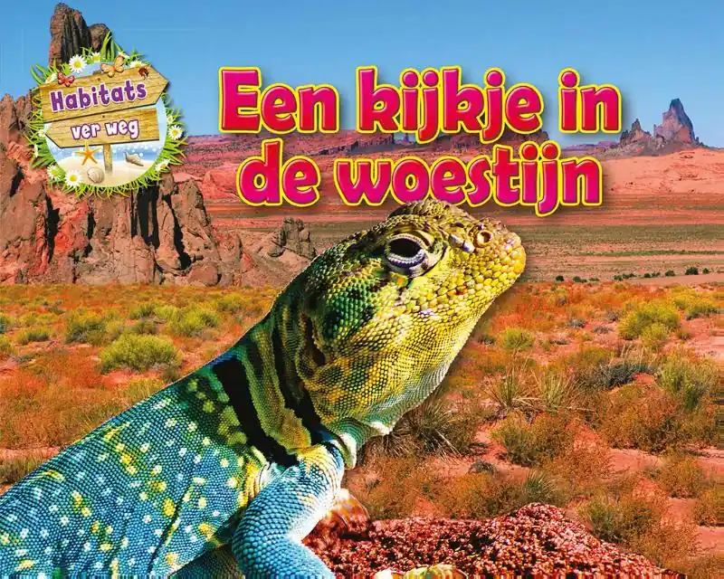 Een kijkje in de woestijn Superprijs