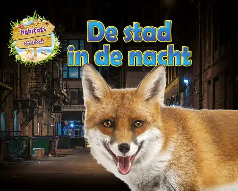 De stad in de nacht Rechtstreeks Van De Fabrikant