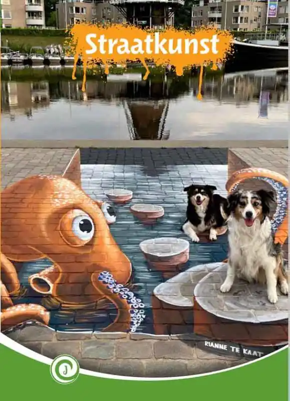 Straatkunst Fabrieksprijs