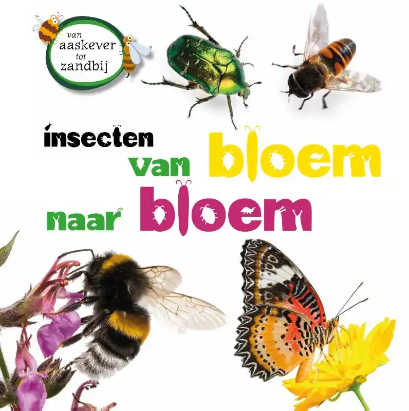 Insecten van bloem tot bloem Korting