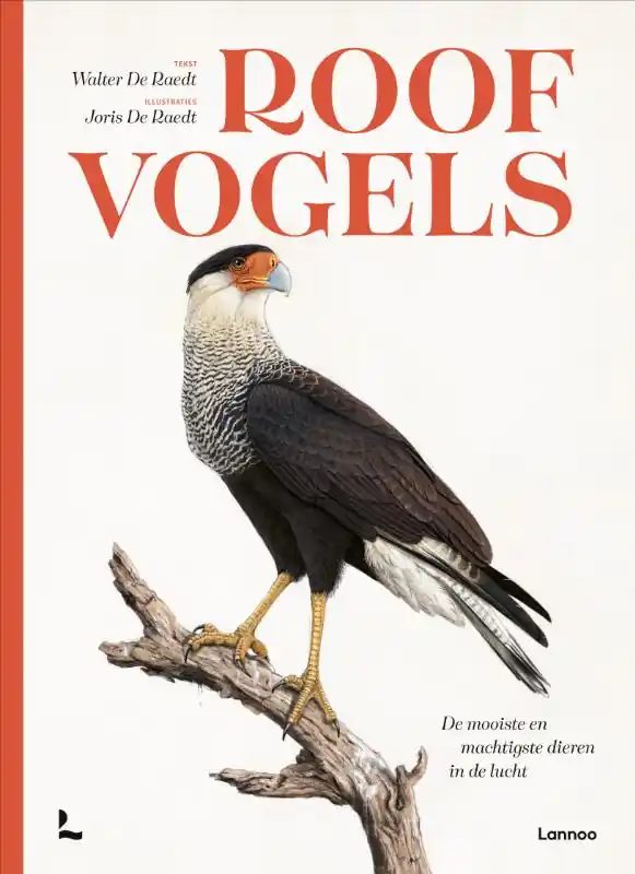 Hoge Kwaliteit Roofvogels