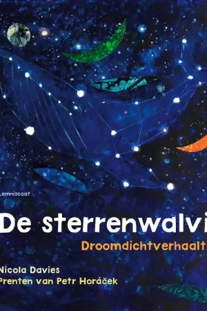 Betaalbaar De sterrenwalvis