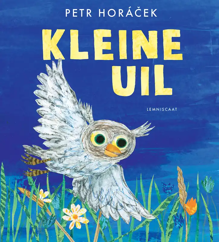 Koop Vandaag Kleine Uil