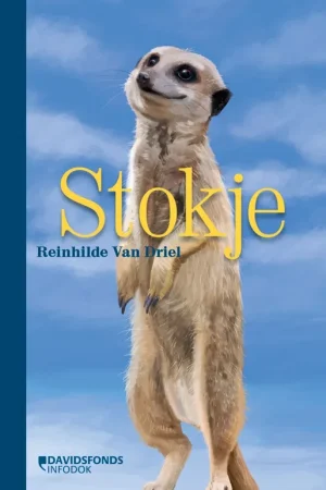 Stokje Nieuw